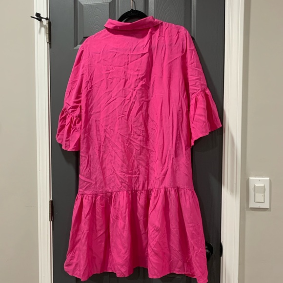 Pink Ruffle Sleeve Dress - Picture 5 of 5